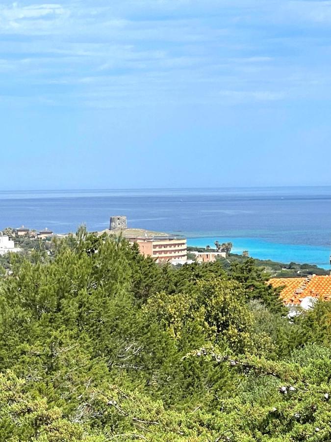 Casa Vacanze Stintino Vista Mare Εξωτερικό φωτογραφία